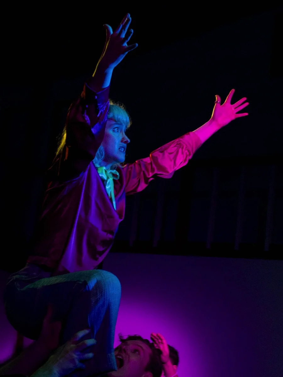 The Government Inspector - Lighting and video design