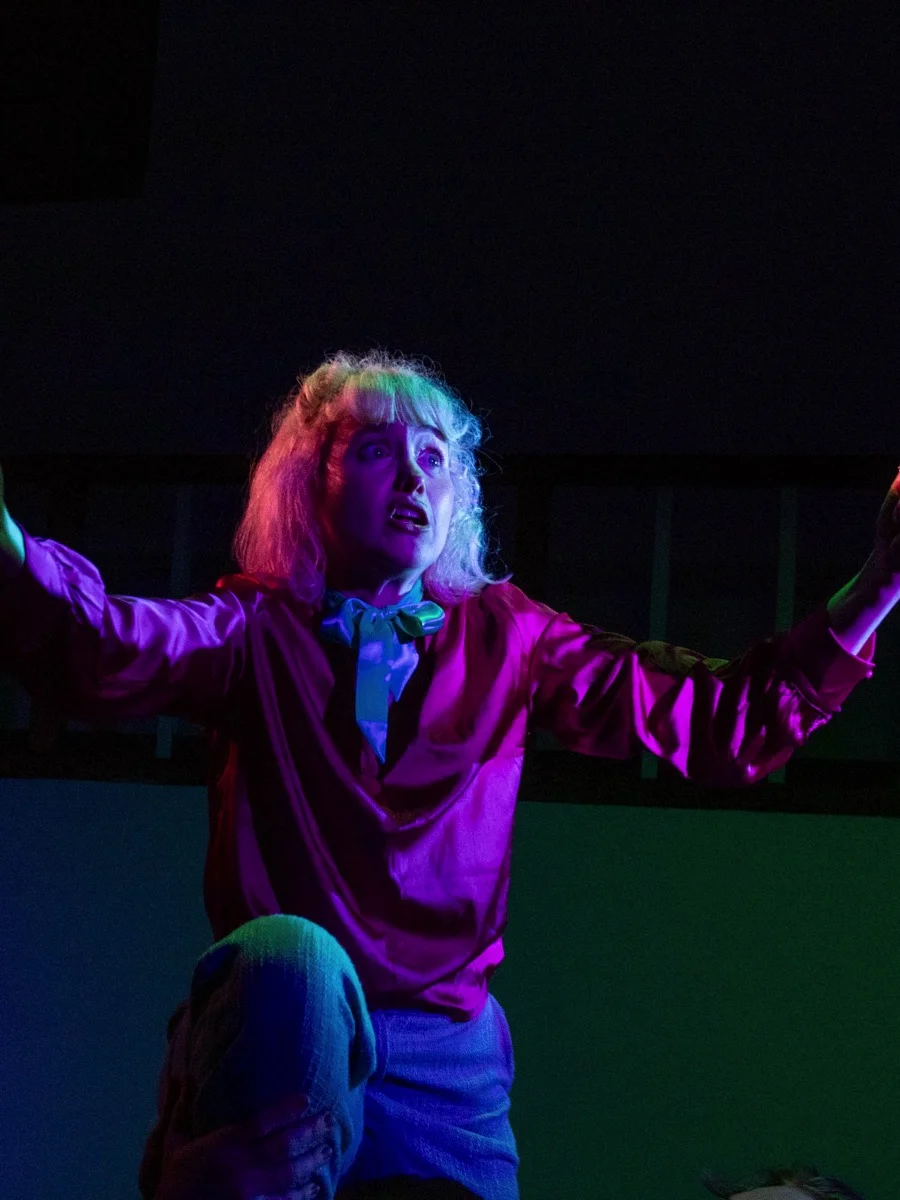 The Government Inspector - Lighting and video design